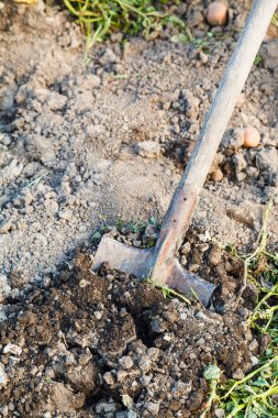 kazma kürek tarafından tarım alanının