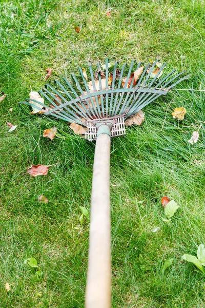 Cleaning lawn by rake — Stock Photo, Image