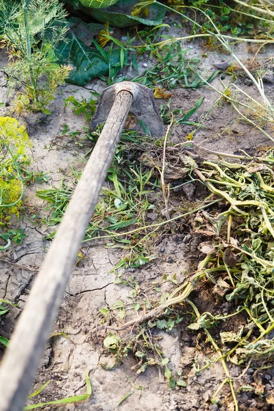 Cleaning garden from weed by chopper — Stock Photo, Image