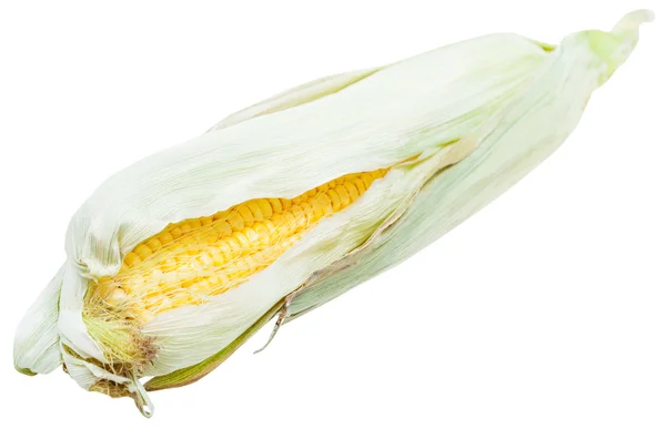 Ear of corn with yellow seeds and green leaves — Stock Photo, Image