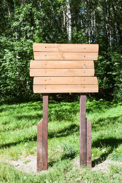 Puntatore di legno nella foresta in summe — Foto Stock