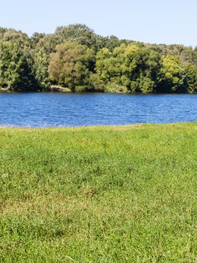 yaz günü nehir üzerinde yeşil çayır