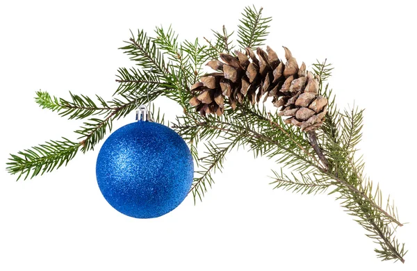 Branch of spruce with cone and blue ball on white — Stock Photo, Image