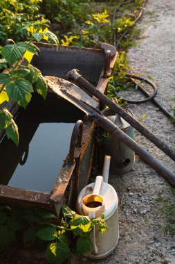 bahçede günbatımı tarafından aydınlatılan Bahçe aletleri