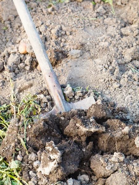 Dig up the garden be spade — Stock Photo, Image