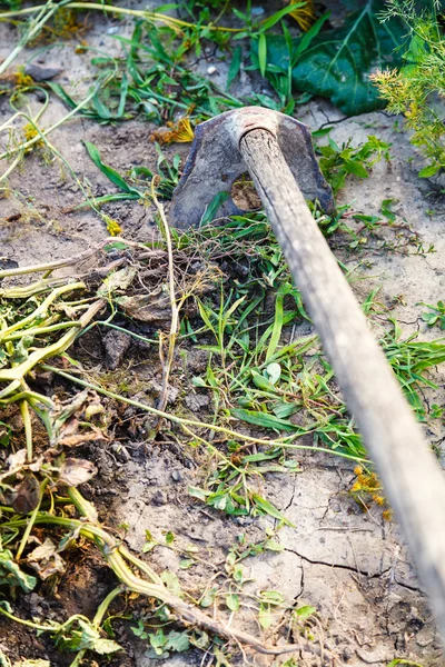 Garten mit Häckselmaschine vom Gras befreien — Stockfoto