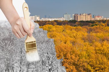 paintbrush paints snowy winter forest from autumn