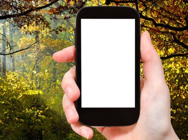 ekran ve sonbahar woods dışarı kesim ile Smartphone