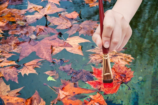 Кисть краски кленовые листья красного цвета — стоковое фото