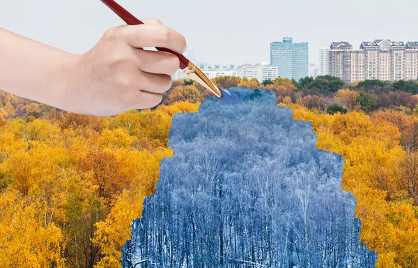 Forêt bleue d'hiver de forêt jaune d'automne — Photo