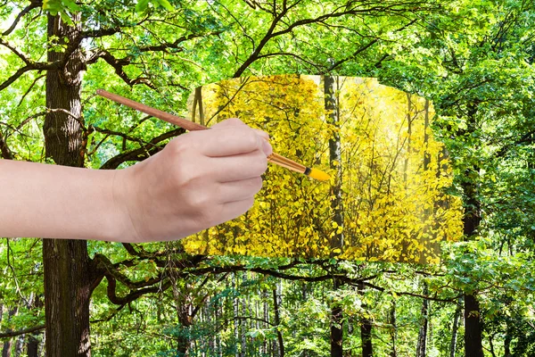 Paintbrush paints yellow leaves in green forest — Stock Photo, Image