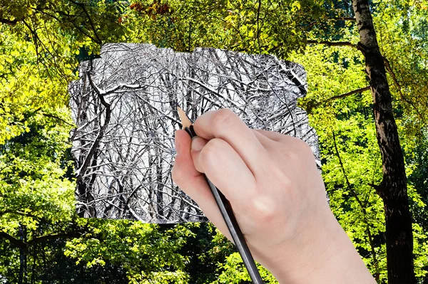 Bleistift zeichnet nackte Stämme im Winterwald — Stockfoto