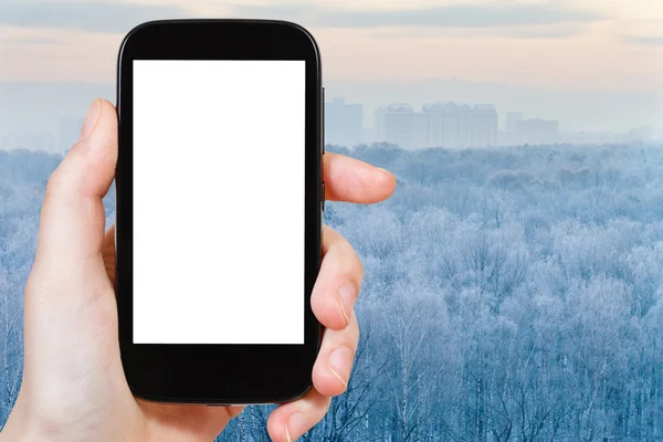 Smartphone con pantalla recortada y bosque congelado — Foto de Stock