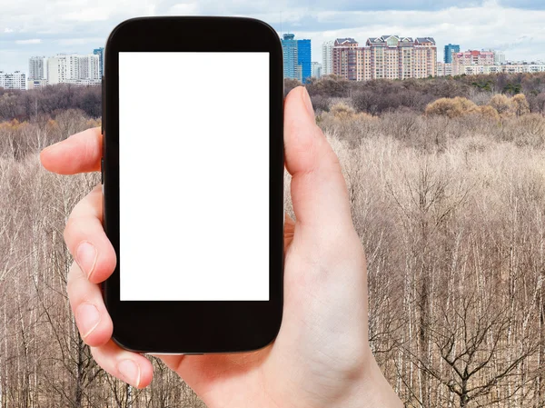 Smartphone und kahle Bäume im Frühlingswald — Stockfoto