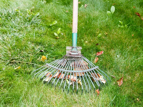 熊手の助けを借りて、芝生の手入れ — ストック写真