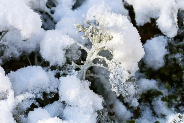 Erster Schnee auf staubiger Müllerei — Stockfoto