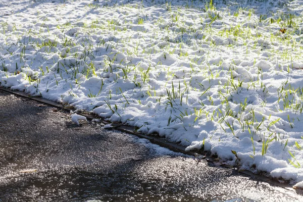 Мокрая тропа и первый снег на зеленой лужайке — стоковое фото