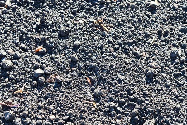 Tierra suelta y hojas caídas en otoño —  Fotos de Stock