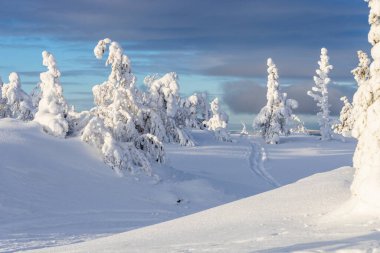 Şarap mevsiminde Rusya 'nın Murmansk Oblastı' na gitmek. Güneşli kış günlerinde Kandalaksha kasabası yakınlarındaki dağlarda karla kaplı yamaçlar.