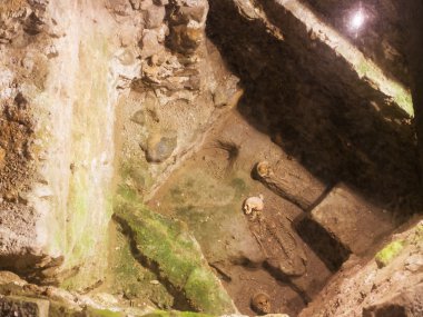 crypt in St. Martin's Cathedral, Bratislava