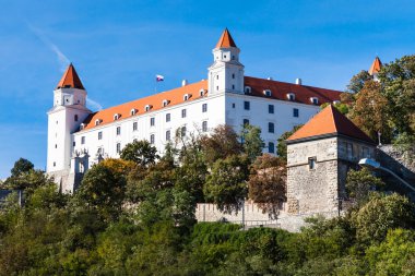 Bratislava Castle in sunny day clipart