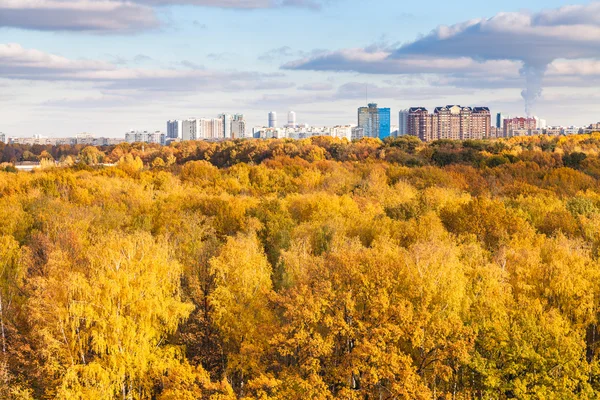 Современный город и желтые леса в осенний день — стоковое фото