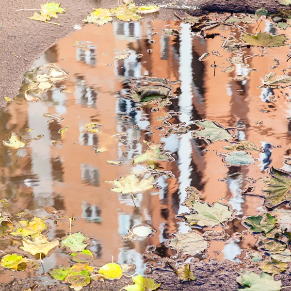 Haus spiegelt sich in Pfütze mit Laubstreu — Stockfoto