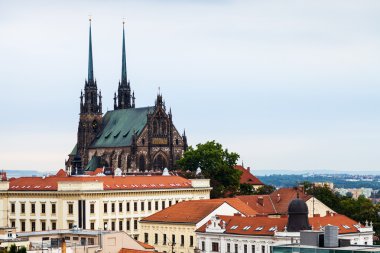Brno manzarası Katedrali St Peter ve Paul ile