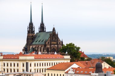 Brno landscape with Cathedral of St Peter and Paul clipart