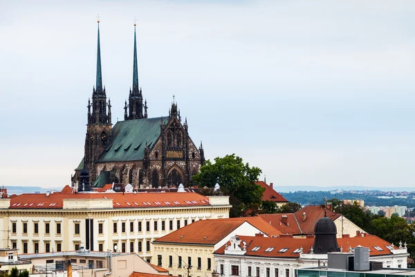 Brno Panorama s katedrálou St. Peter a Paul — Stock fotografie