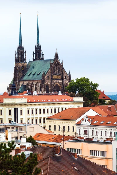 Vista de la Catedral de San Pedro y San Pablo en Brno — Foto de Stock