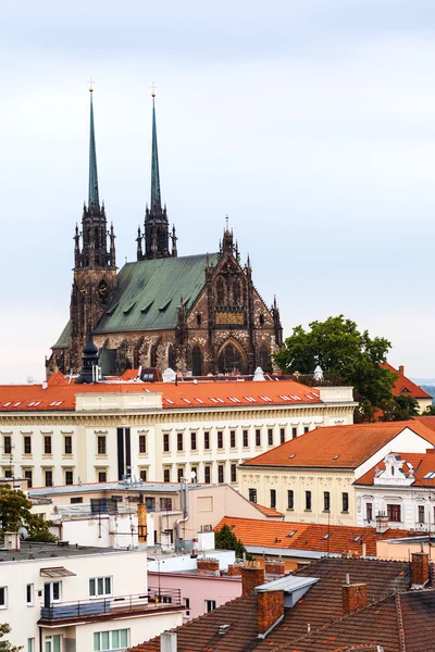 Katedrála svatého Petra a Pavla na Petrově vrchu — Stock fotografie