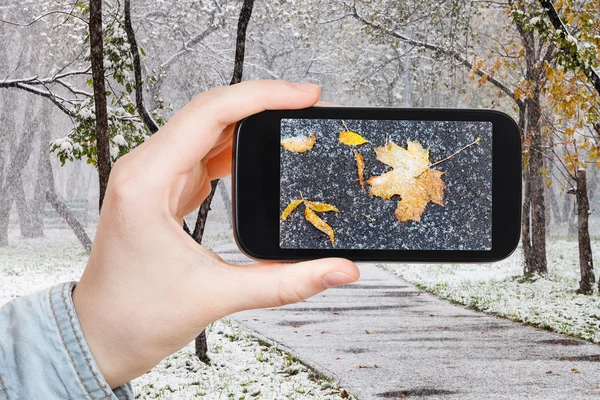 Imagem de folhas caídas na neve no parque urbano — Fotografia de Stock