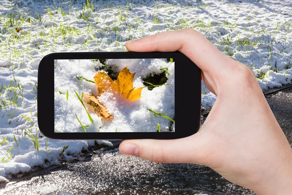 Picture of of first snow at lawn on smartphone — Stock Photo, Image