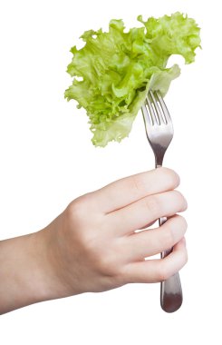 hand holds fork with impaled fresh leaf lettuce clipart
