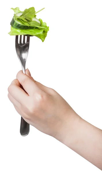 Mão segurando garfo de jantar com salada verde fresca — Fotografia de Stock