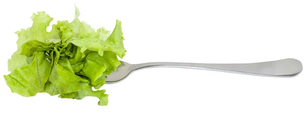 Villás elszigetelt impaled friss zöld saláta — Stock Fotó