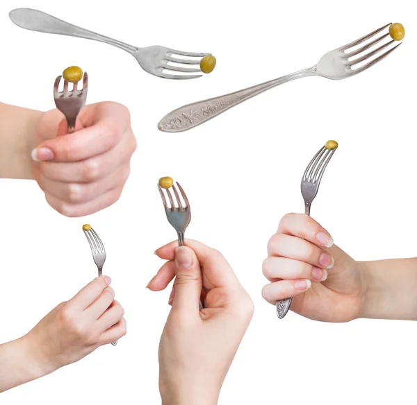 Set of dinning forks with impaled green pea — Stock Photo, Image