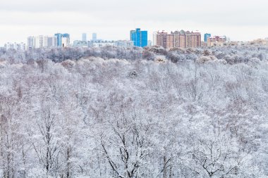Kışın kar orman ve şehir binaları
