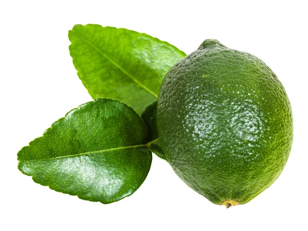 Fresh green kaffir lime fruit with leaves isolated — Stock Photo, Image