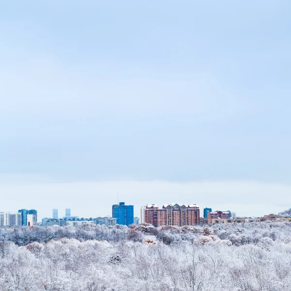Zimno niebieski niebo nad lasów miasta i śniegu w zimie — Zdjęcie stockowe