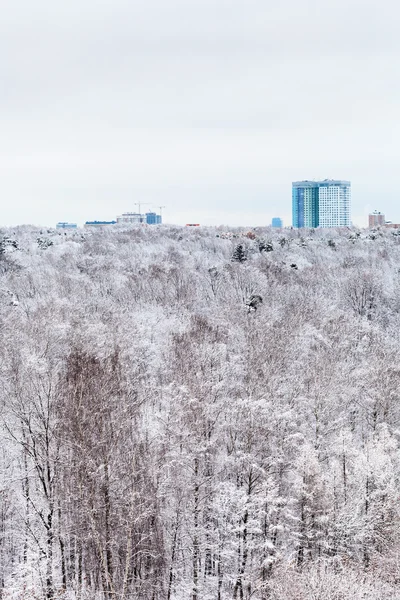 Huis en sneeuw bos in de winterdag — Stockfoto