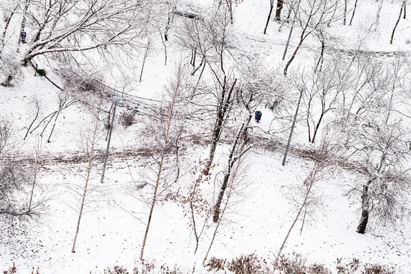 Ovanför vyn av gångstig i snö stadspark — Stockfoto