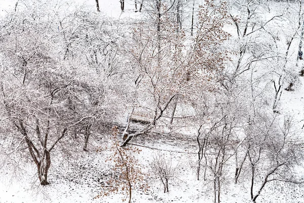 Voetpad in stadstuin van sneeuw in de winter — Stockfoto