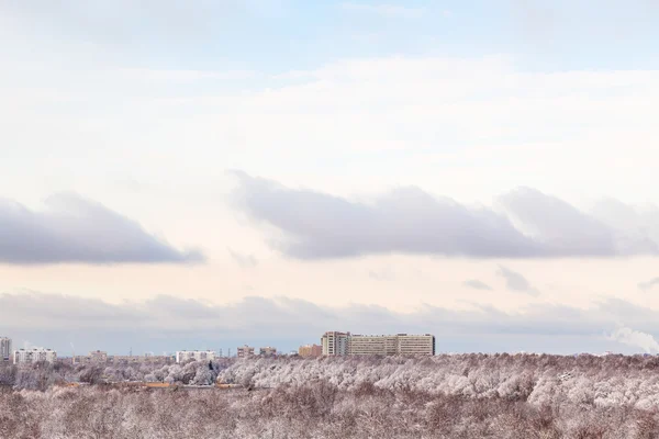 Różowe chmury nad parkiem miejskim i miasto zimą — Zdjęcie stockowe