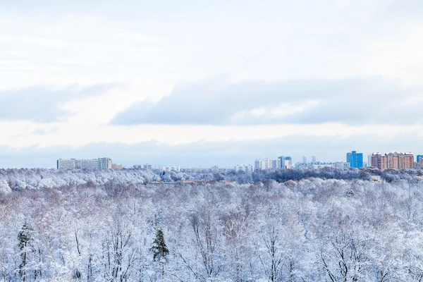 Staden och frysta park i vinter — Stockfoto