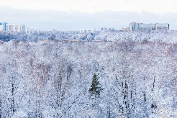 Ciudad y parque congelado en invierno — Foto de Stock