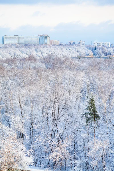 Snow park miejski i miasta w zimie — Zdjęcie stockowe