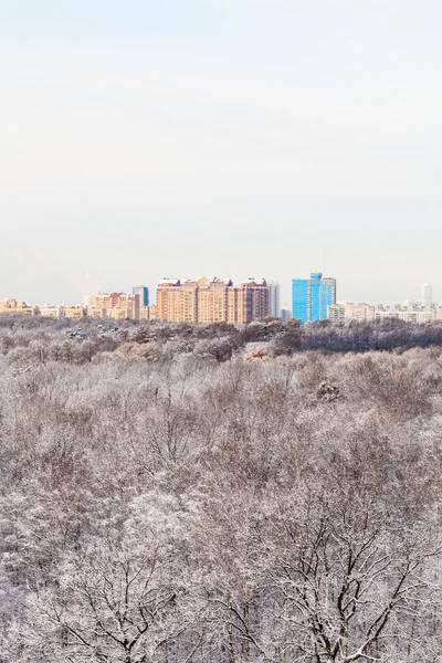 城市的房子和雪树林在温特 — 图库照片