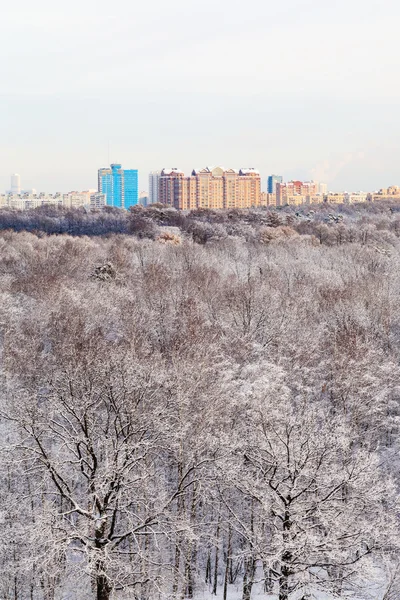 Apartment houses and snow forest in winter — Stock Photo, Image